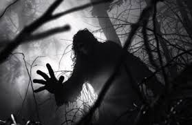 Sungai Misterius di Kalimantan Fenomena Aneh Air yang Mengalir Naik ke Gunung